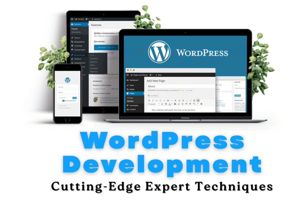WordPress Development